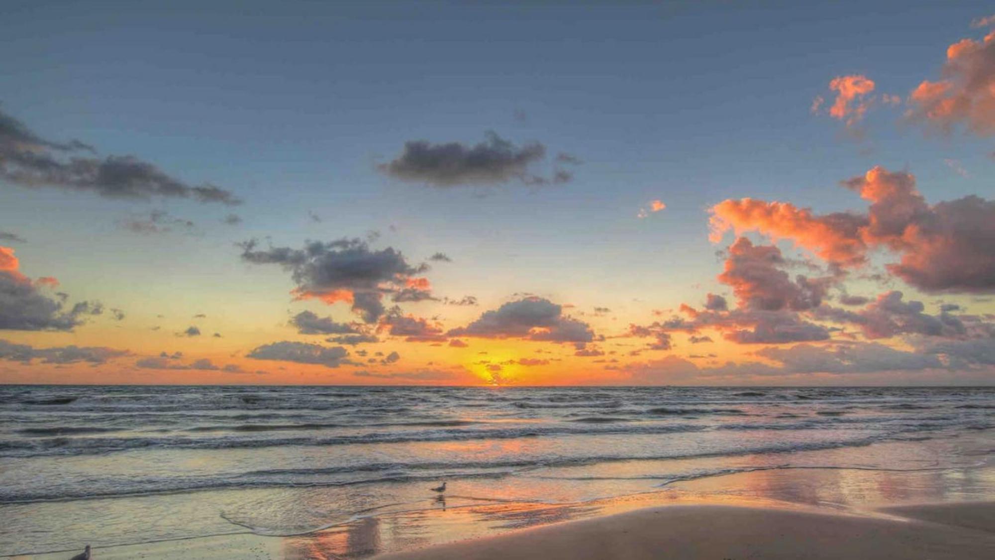 Sleeps 4, Value Retreat - Free Garage Pet Friendly Apartman Corpus Christi  Kültér fotó